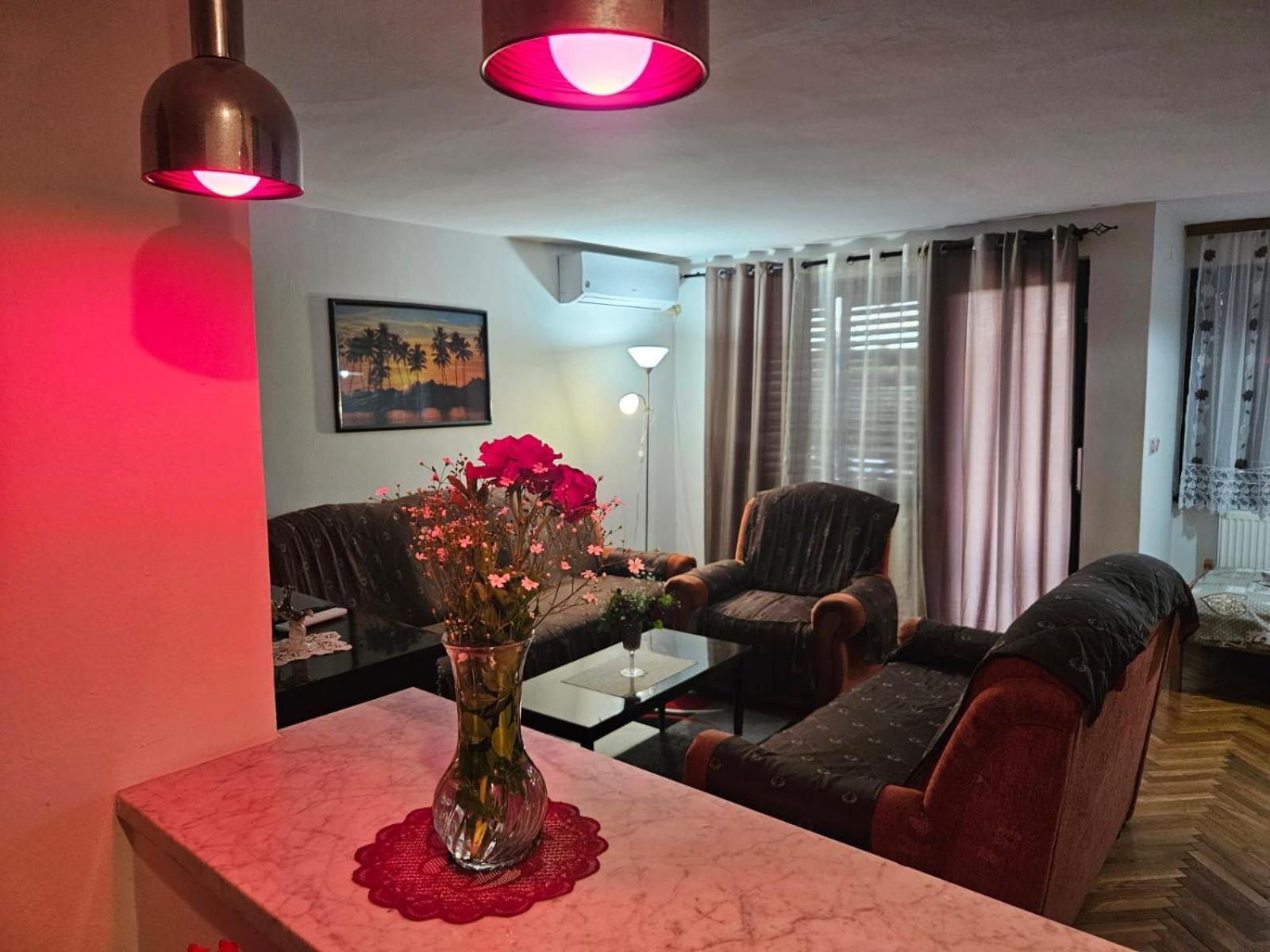 Apartmani, Sobe Ziza Bezdan ภายนอก รูปภาพ